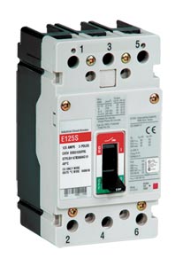 Molded Case Circuit Breakers, Thermal Magnetic Circuit Breakers EGB Series | EGB3000